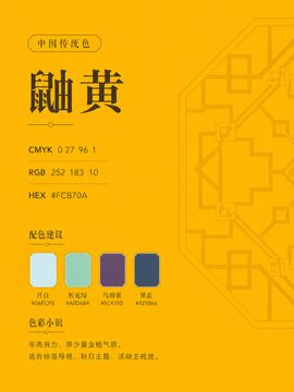 中国传统色 鼬黄 #FCB70A 色卡