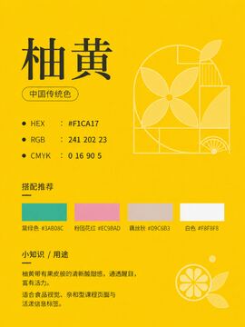 中国传统色 柚黄 #F1CA17 色卡
