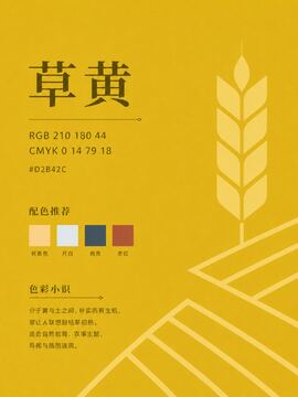 中国传统色 草黄 #D2B42C 色卡