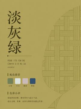 中国传统色 淡灰绿 #AD9E5F 色卡