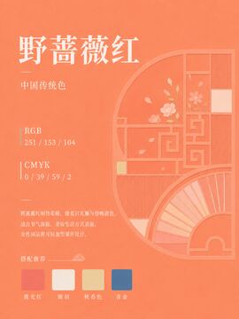 中国传统色 野蔷薇红 #FB9968 色卡