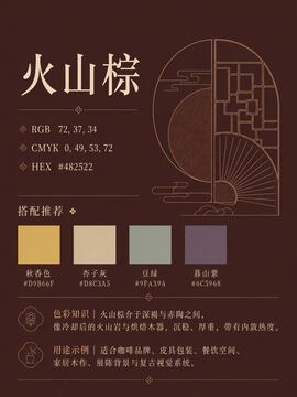 中国传统色 火山棕 #482522 色卡