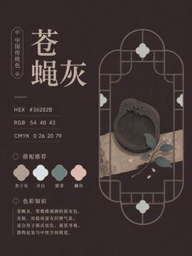 中国传统色 苍蝇灰 #36282B 色卡
