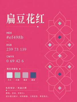 中国传统色 扁豆花红 #EF498B 色卡