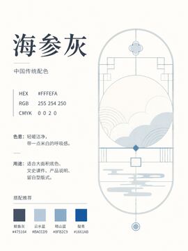 中国传统色 海参灰 #FFFEFA 色卡