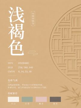 中国传统色 浅褐色 #D2B48C 色卡