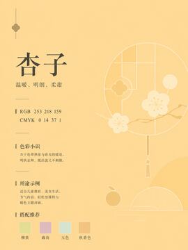 中国传统色 杏子 #FDDA9F 色卡