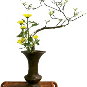花间十二课·系统班