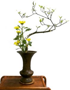 插花作品
