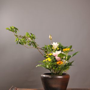 华者传承班·师资认证课