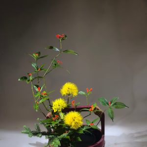 花间雅集·三主题连报